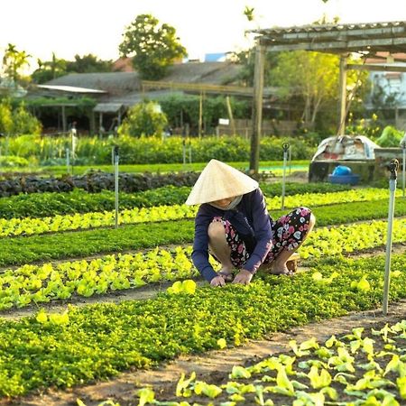 Hoi An Cabbage Garden Apartment Exterior foto